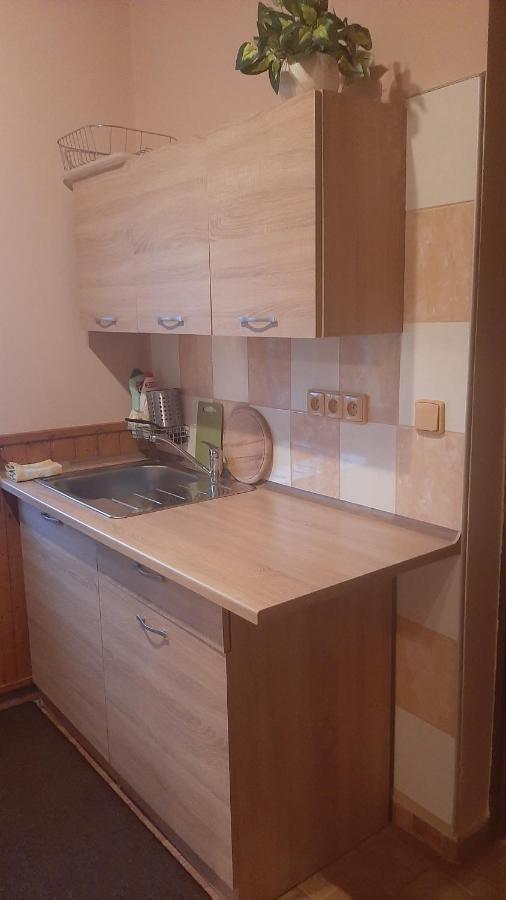 Guest House Vila Frydstejn Экстерьер фото